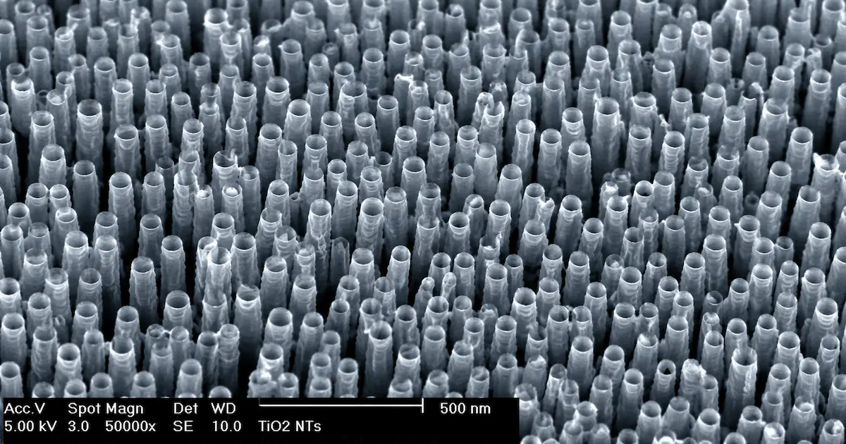 Forêt de nanotubes de dioxyde de titane observée au microscope électronique à balayage - structure nanométrique ordonnée