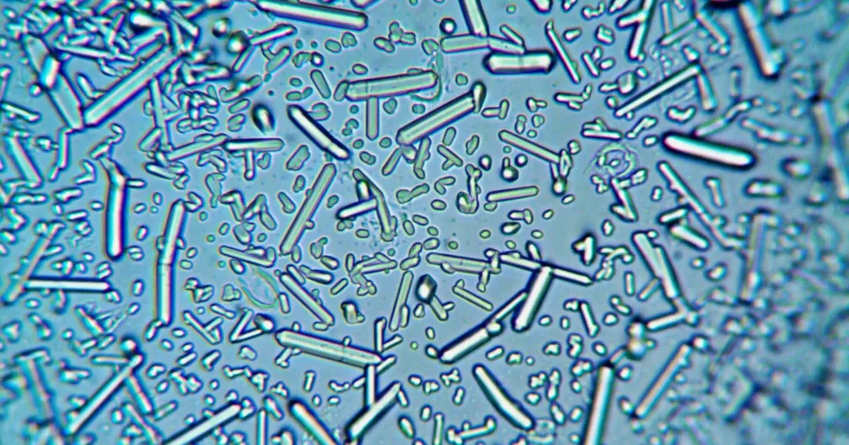 Illustration des structures cristallines et phénomènes quantiques à l’échelle nanométrique montrant un réseau atomique et le confinement électronique dans les nanomatériaux
